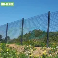 Fence a maglie di filo saldato con rivestimento in polvere certificato ISO